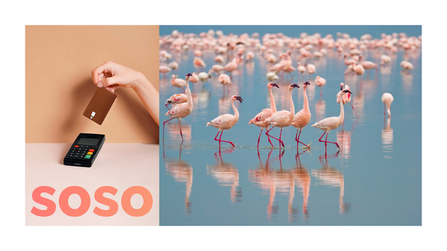 Kā ātri un vienkārši izvēlēties aizdevumu? Soso zina!